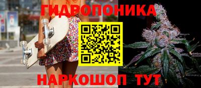 ешки Усть-Илимск