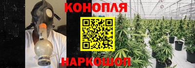 ешки Усть-Илимск