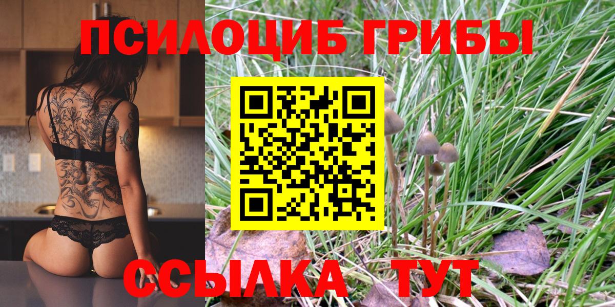 Галлюциногенные грибы Magic Shrooms  Галлюциногенные грибы GOLDEN TEACHER  Прокопьевск  Вход с VPN 
